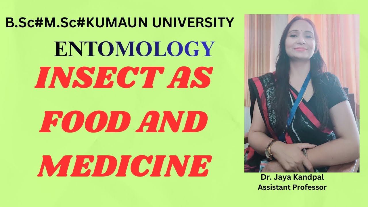 INSECT AS FOOD AND MEDICINE#ENTOMOLOGY#KUMAUN UNIVERSITY