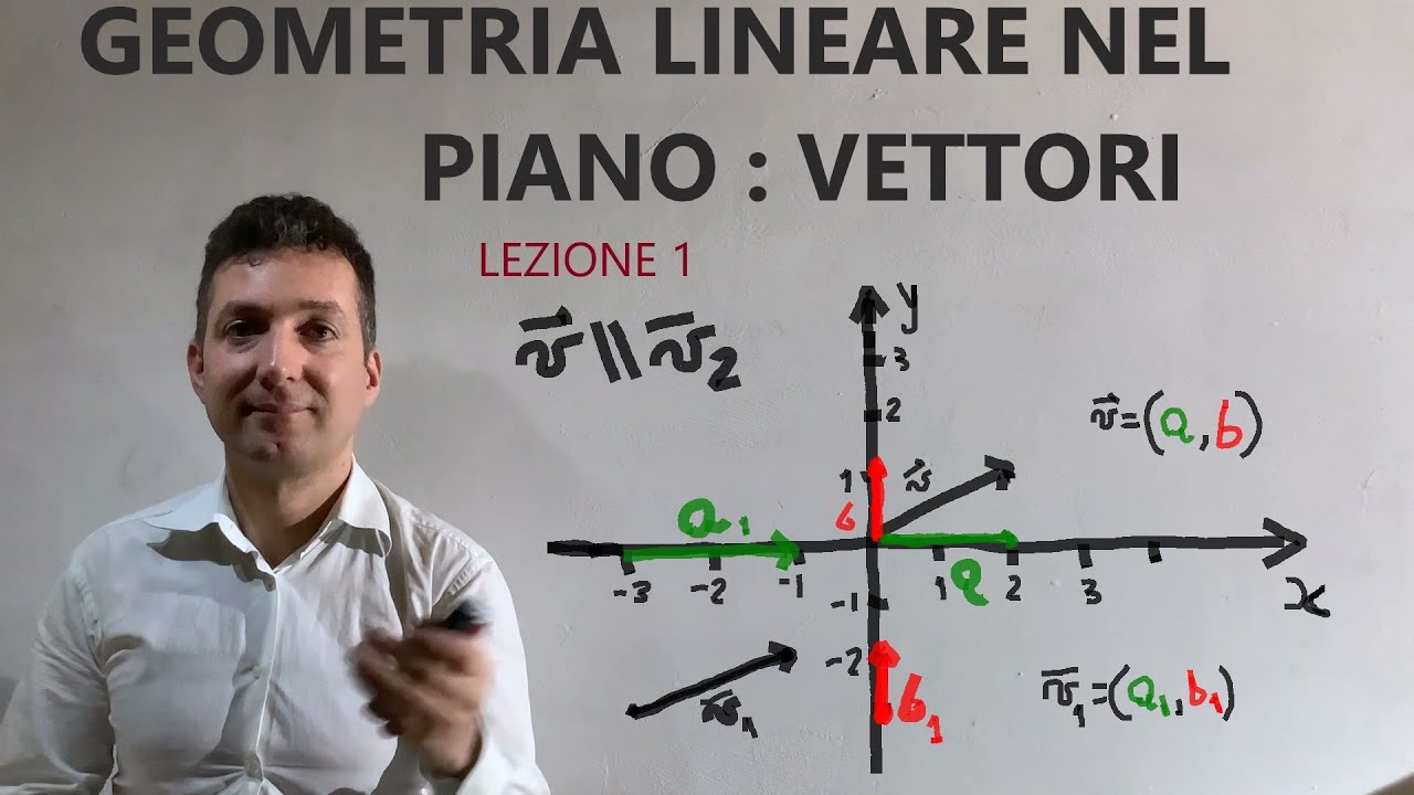 Geometria nel piano : vettori , prodotto scalare, componenti,vettori paralleli e perpendicolari .