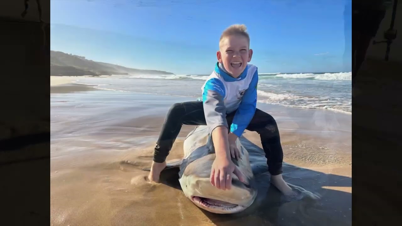 Fishing South Africa, Rock and surf Fishing targeting Bronze whaler sharks part 2