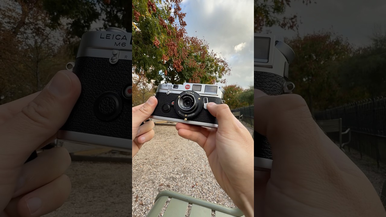 Leica m6 + Eureka = Magic✨📷 