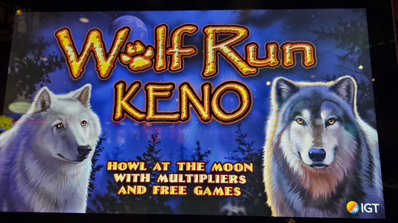 5 бонусов в игре Кено от Trigger Wolf Run!!! #KENONATION #KENO #WIN #CASINO