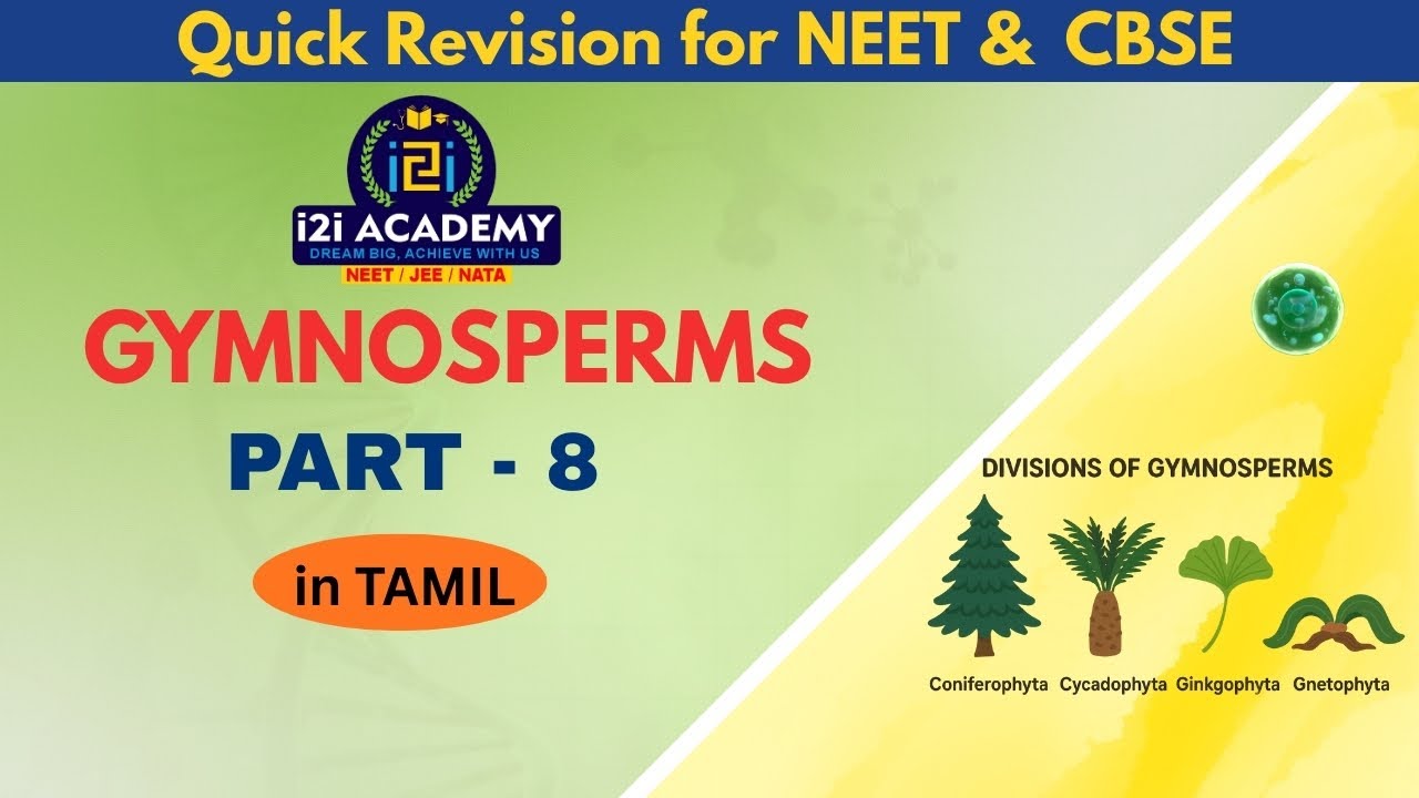 Gymnosperms Explained 🌲 | NEET/CBSE Biology Easy Notes | Tamil | Plant Kingdom | PART 8 