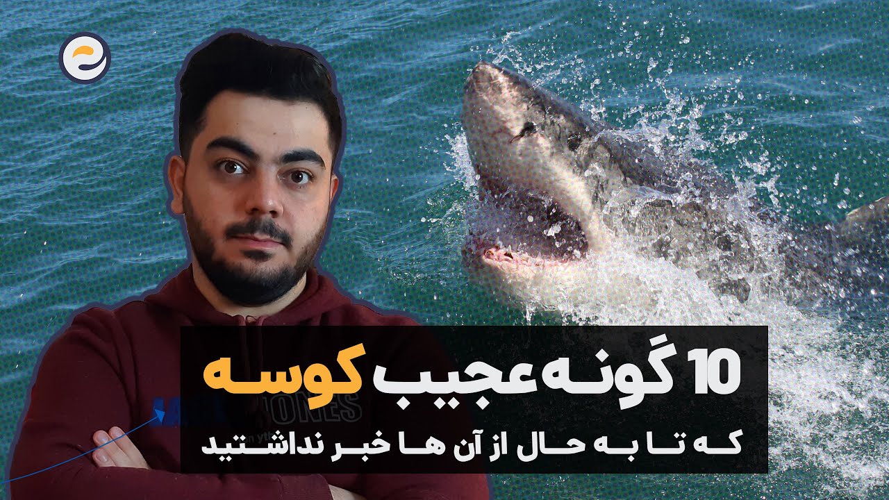 ده تا از عجیب ترین کوسه های دنیا / کوسه هایی که بسیار ناشناخته اند