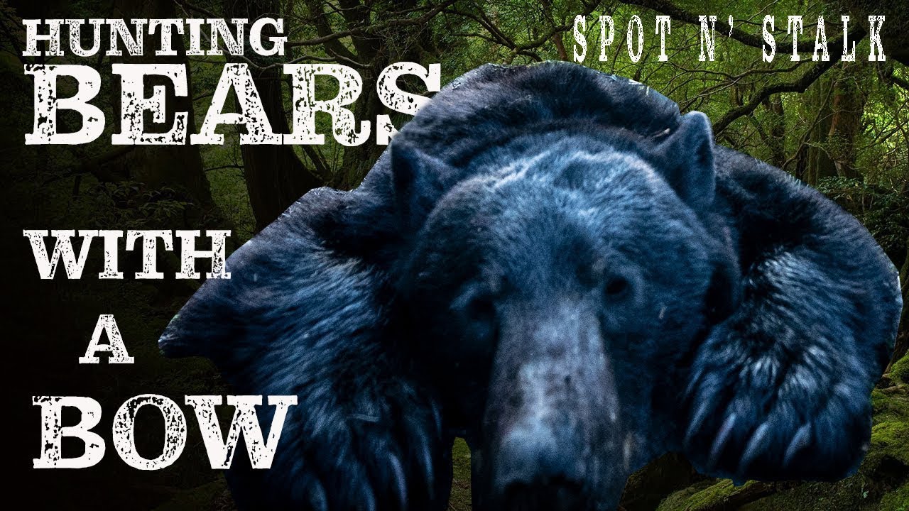 SPOT n' STALK BOWHUNTING BEARS in the MOUNTAINS