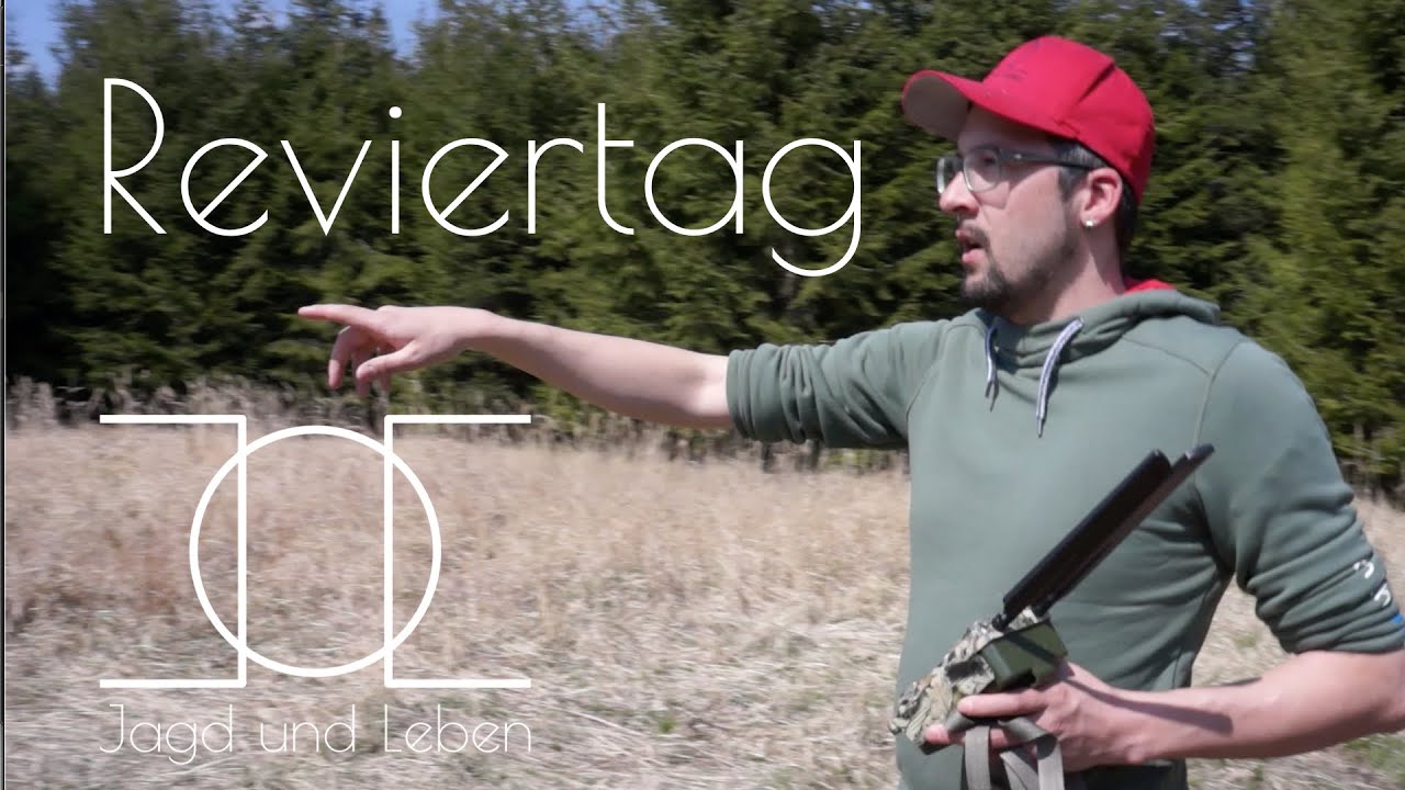 Reviertag im April - Wildkameras aufhängen und Hundetraining