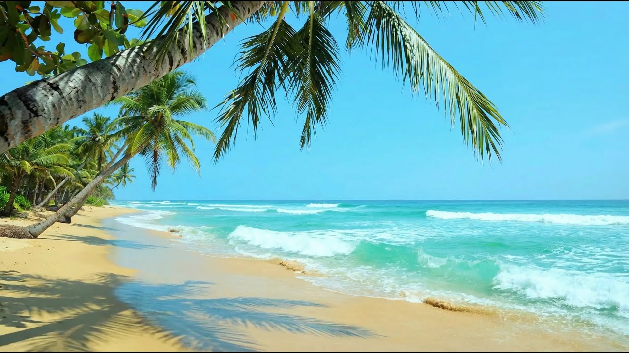 Đang tải...