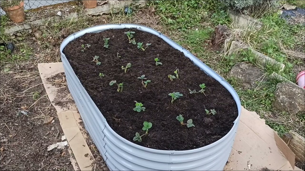 Tidy up and a new bed!