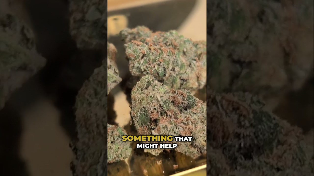 Unlock Focus & Energy: Homestead Haze for Productive Mornings!