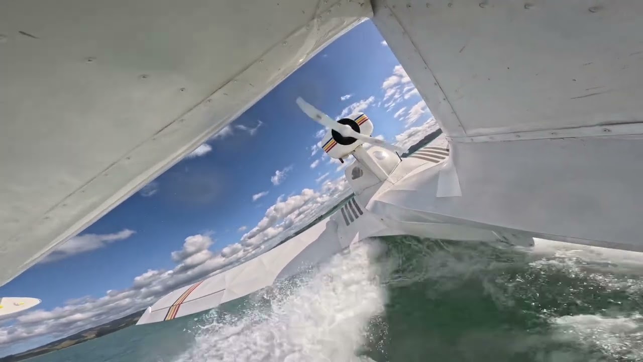 TAYLOR COOT WATER LANDING