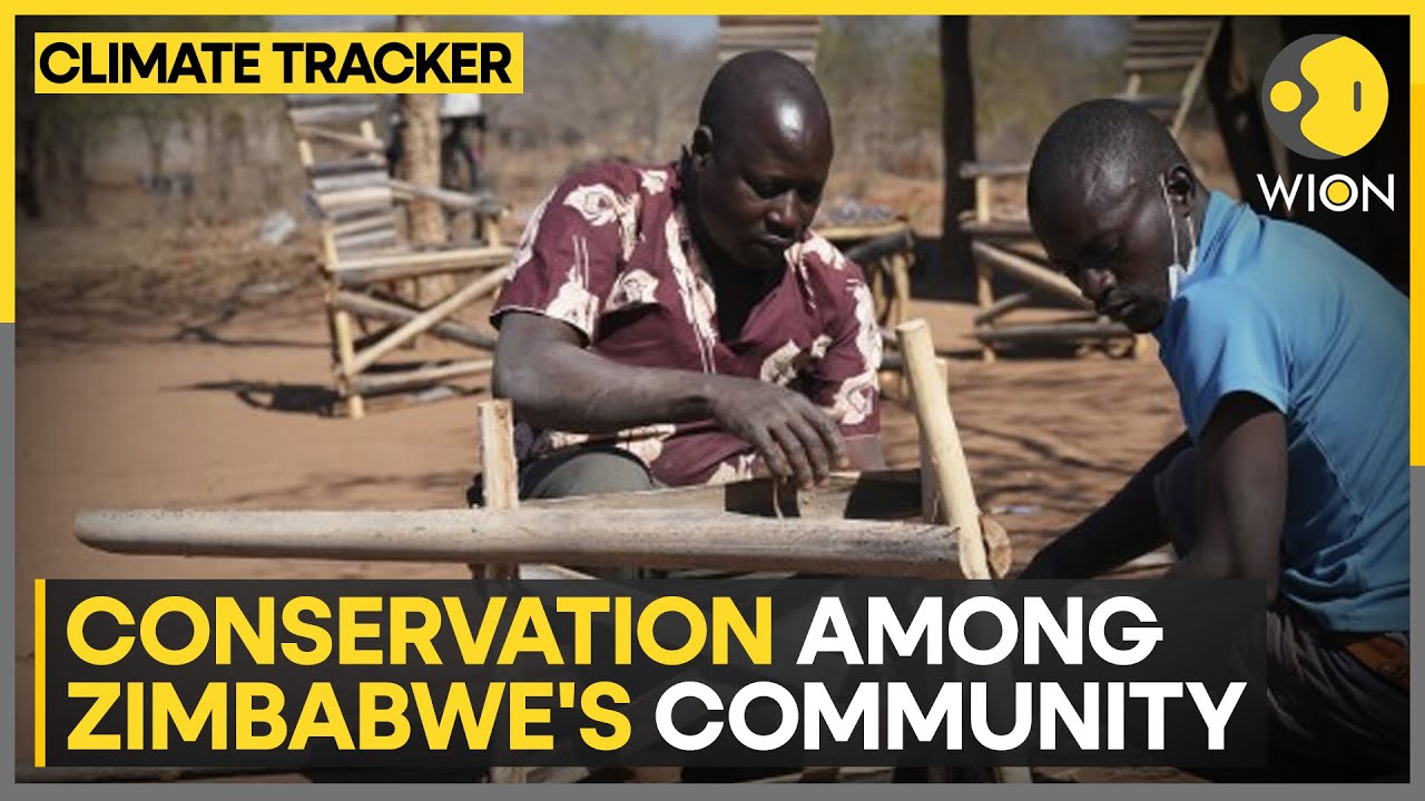 Conservation Awareness in Zimbabwe: Former poacher is spreading awareness on conservation | WION