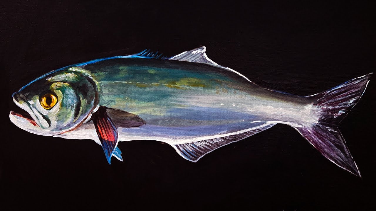 Barnegat Bites: Inlet Blues