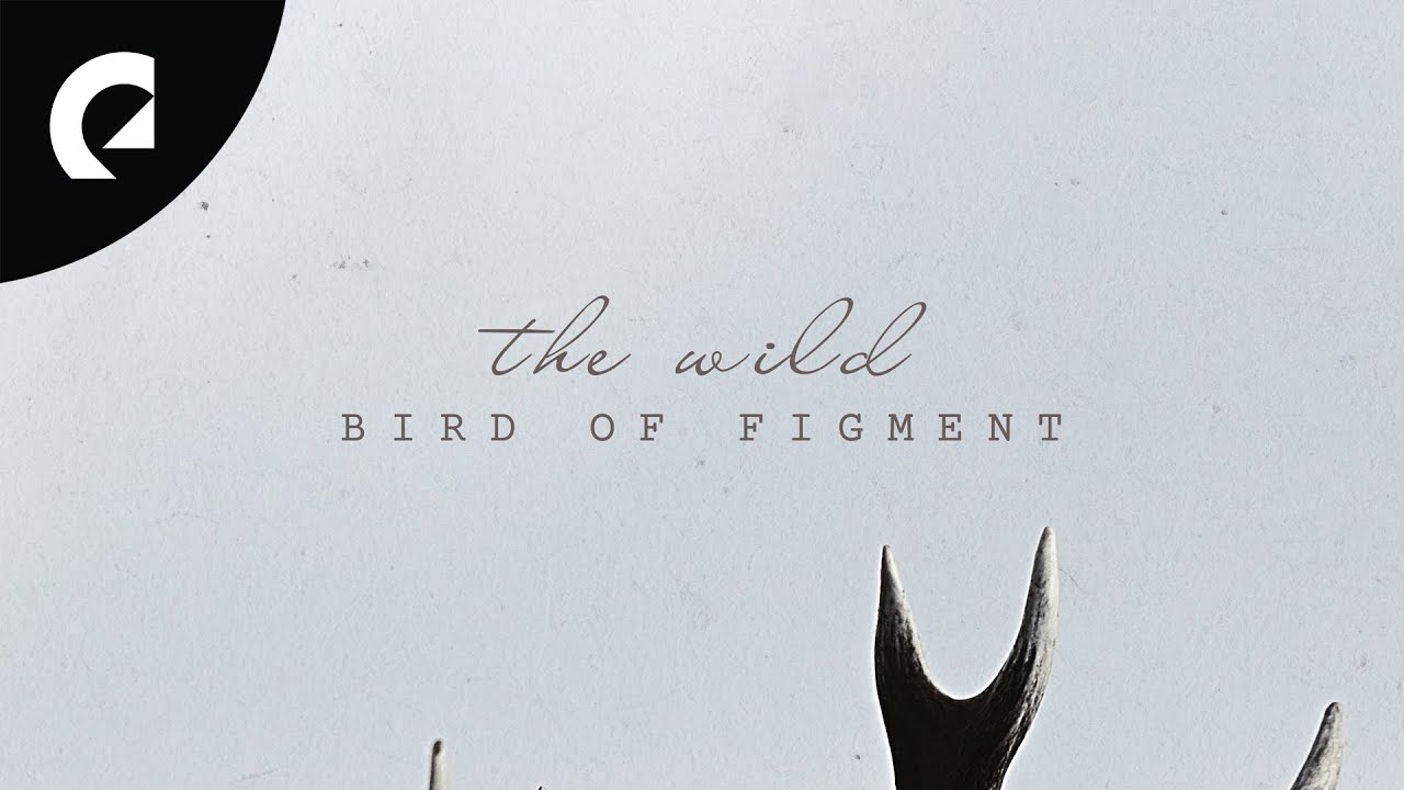 Bird of Figment - The Wild (Official EP) [Acoustic Songs]