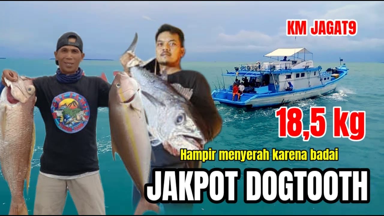 Hampir menyerah karena badai // akhir nya pulang bawa jackpot dogtooth tuna besar