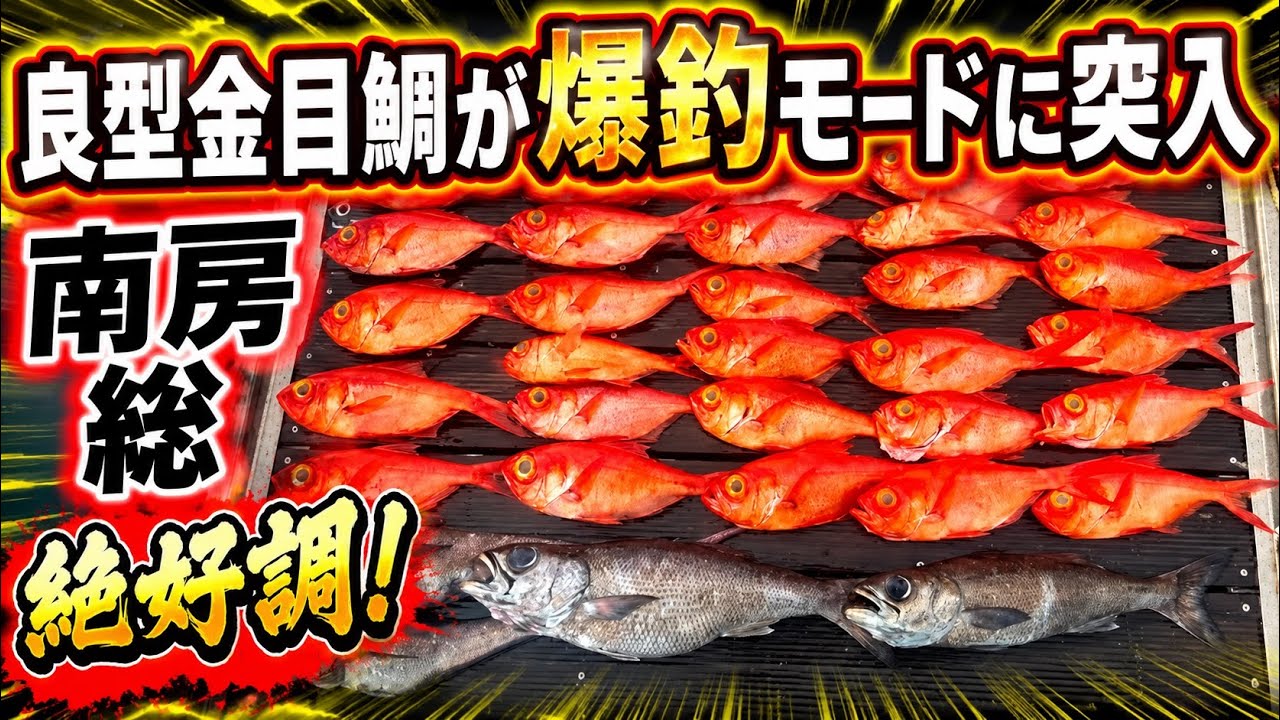 【南房総】良型サイズの金目鯛と深海の超高級魚はこれで釣れる🎣