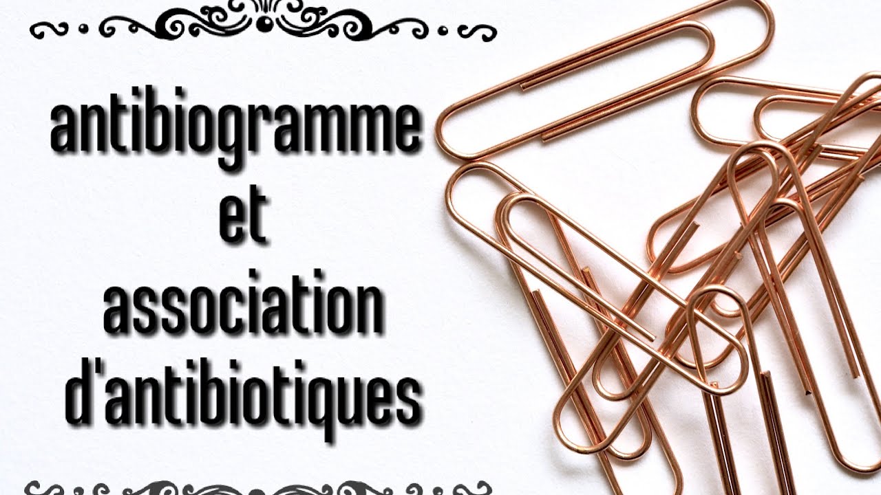 antibiogramme et association d'antibiotiques