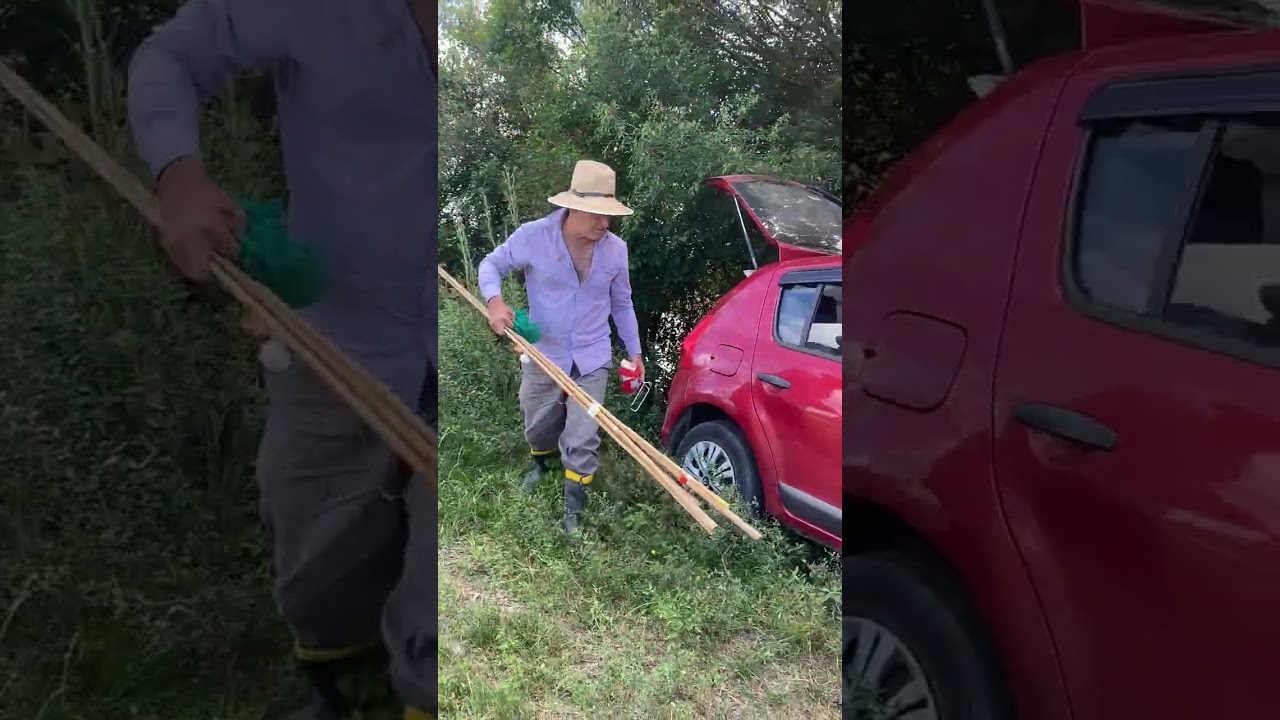 Dessa vez vai sai as bruta