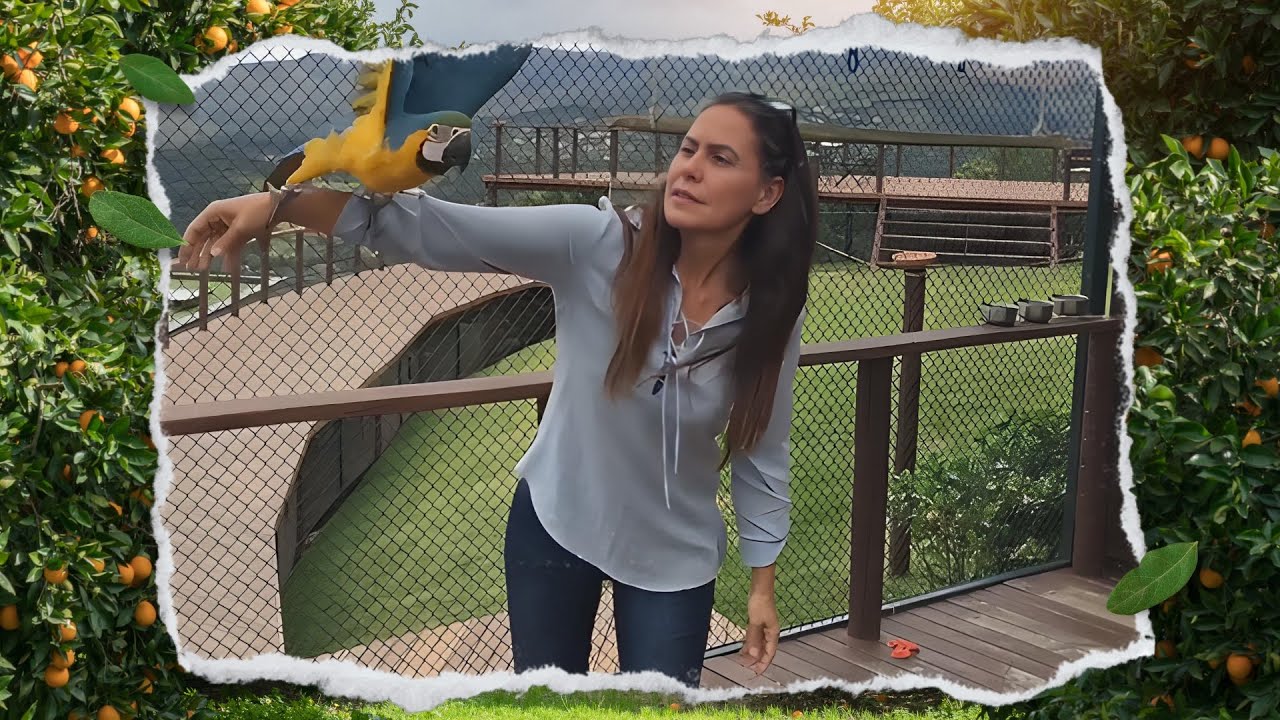 Visita ao Criatório de Aves Exóticas PsitaSol: Os Melhores Momentos