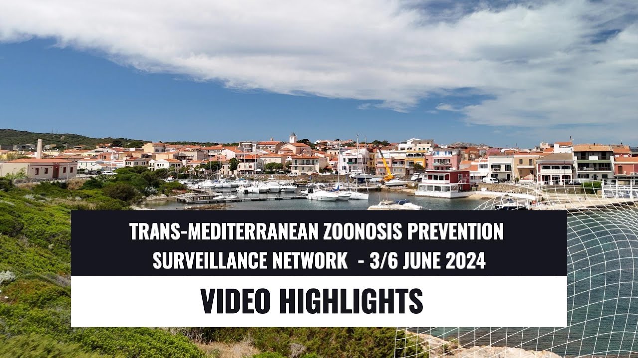 Trans-mediterranean zoonosis prevention surveillance network - HIGHLIGHTS - 2024