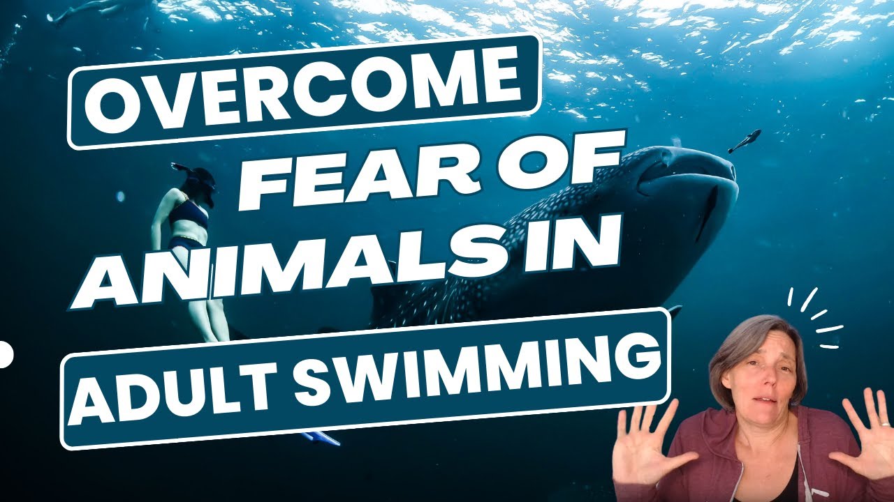 Swimming in Open Water - How to Overcome the Fear of Animals