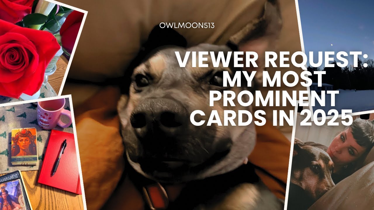 По просьбе зрителя: Три мои самые примечательные карты 2025 года.