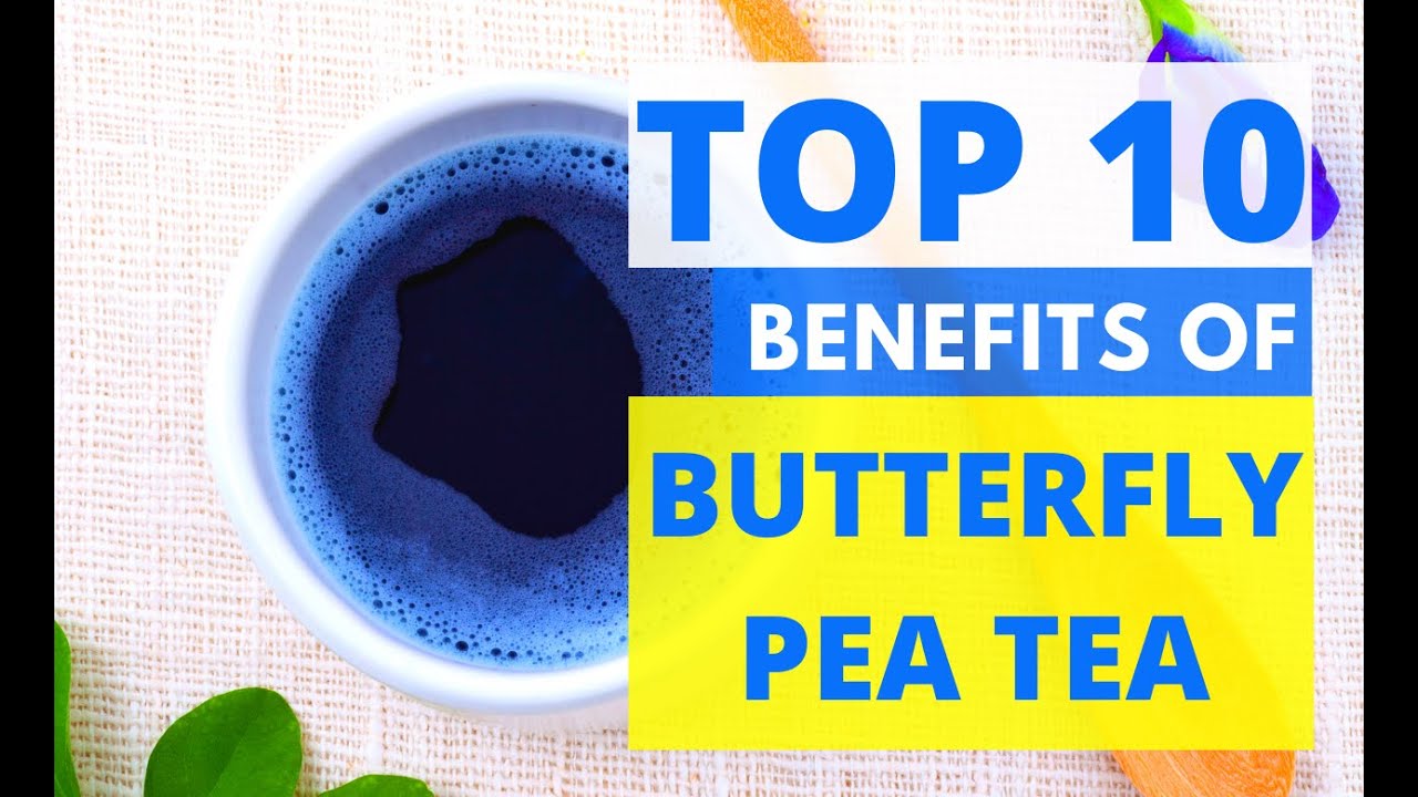 Top 10 Benefits of Butterfly Pea Flower Tea For Better Self-care