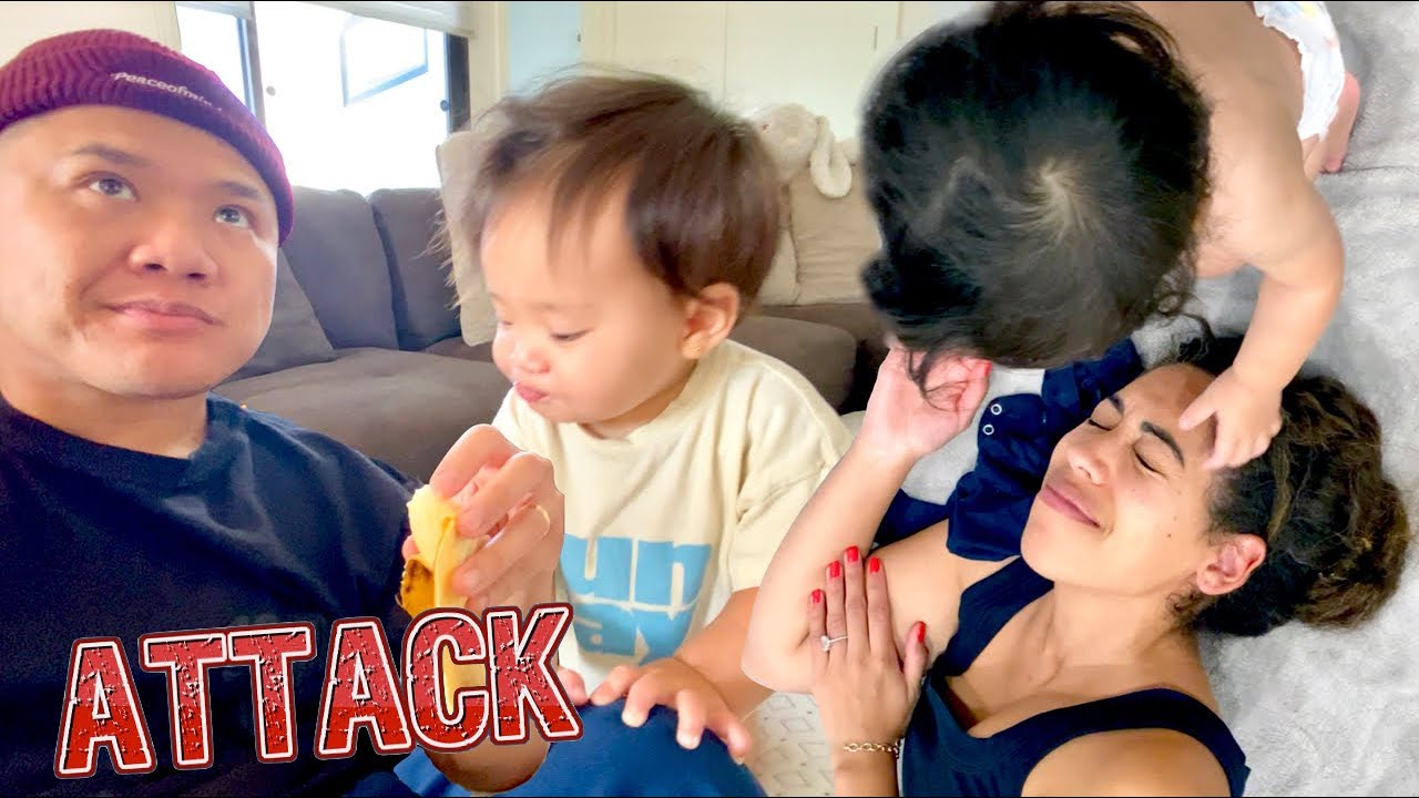 When Babies Attack
