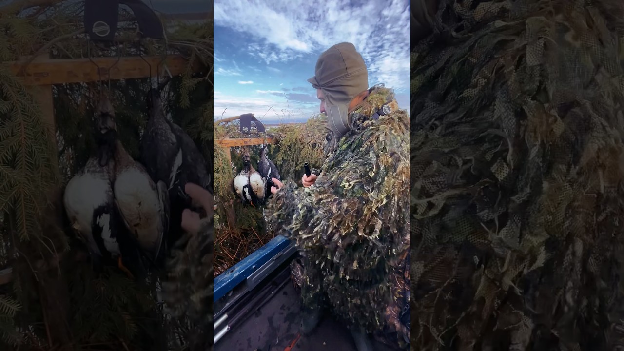 Осенняя охота на утку! #охота #hunterhelp #манкинаутку #duckhunting #gamecall