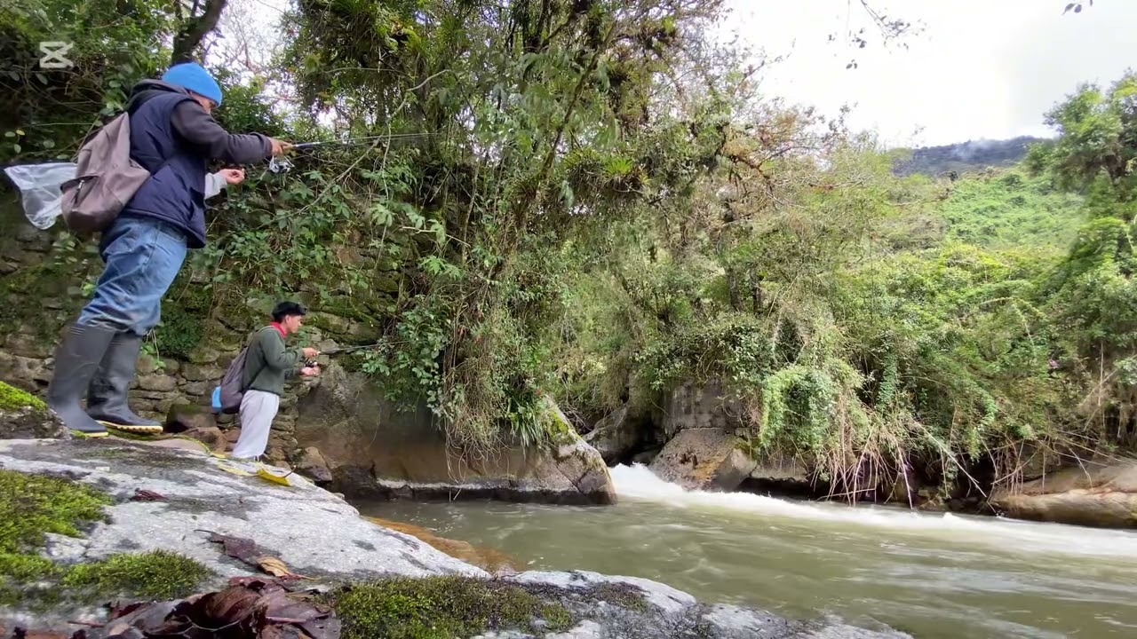 Pesca en el Rio de #truchas 