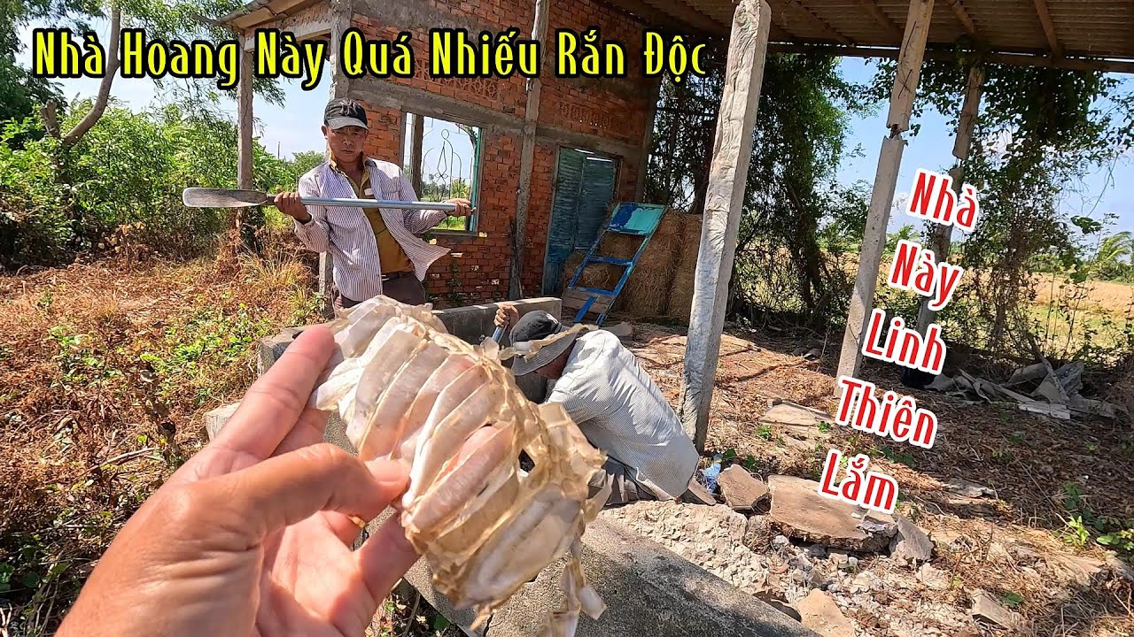 Ngôi Nhà Hoang Này Quá Linh Thiên Lúc Nào Rắn Độc Cũng Vào Canh Dữ | Mười Thương Săn Bắt