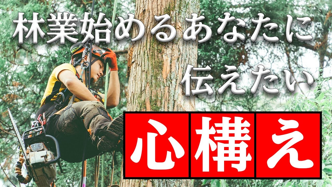 【特殊伐採】実際の現場での作業を徹底解説します！｜卒業生３人が奮闘！くまもと林業大学校の現場見学【林業】