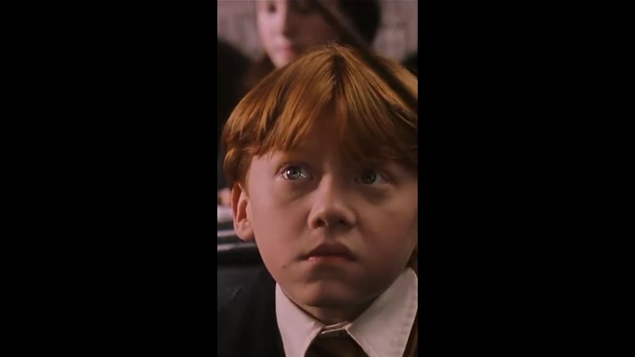 Imagina não conhecer essa LAPADA de cor?? 🫠 #HarryPotter