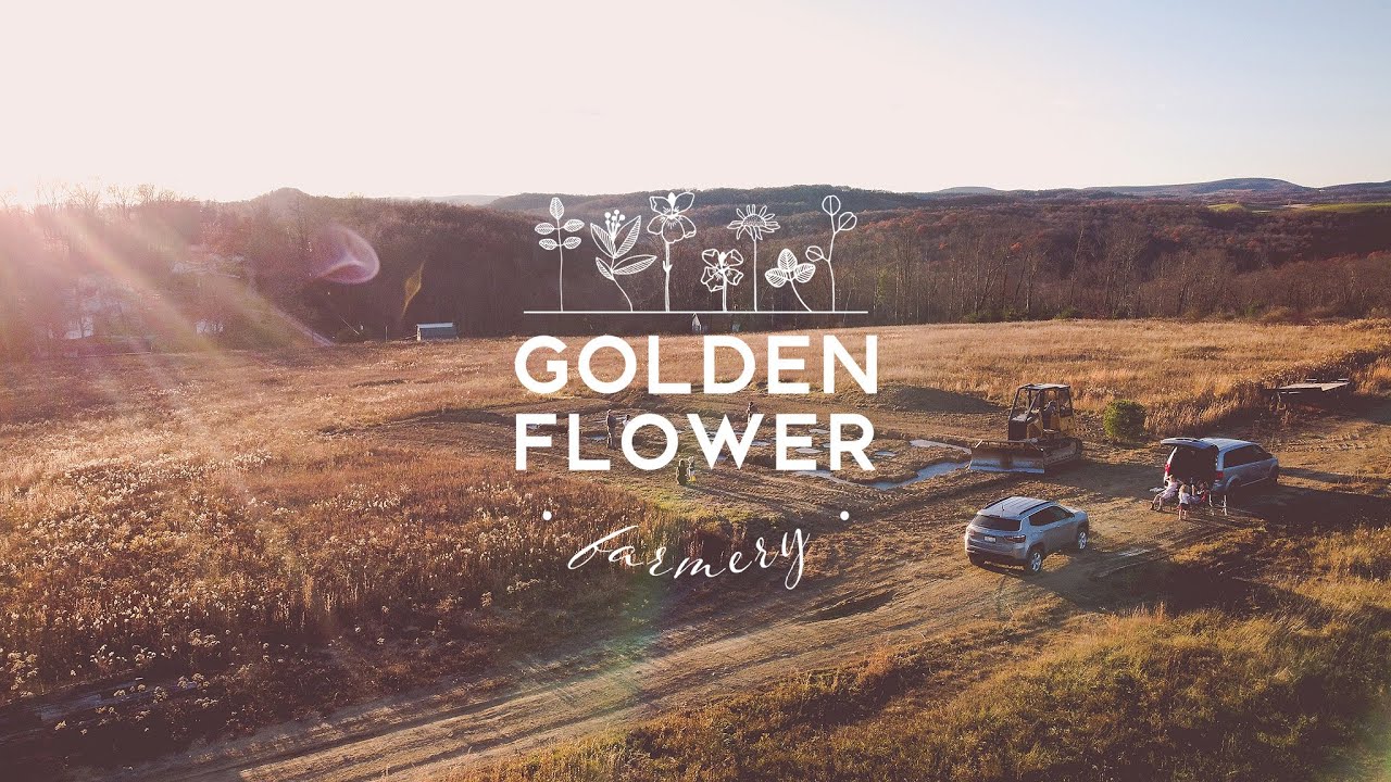 Golden Flower Farmery - HOMESTEADING from the VERY BEGINNING