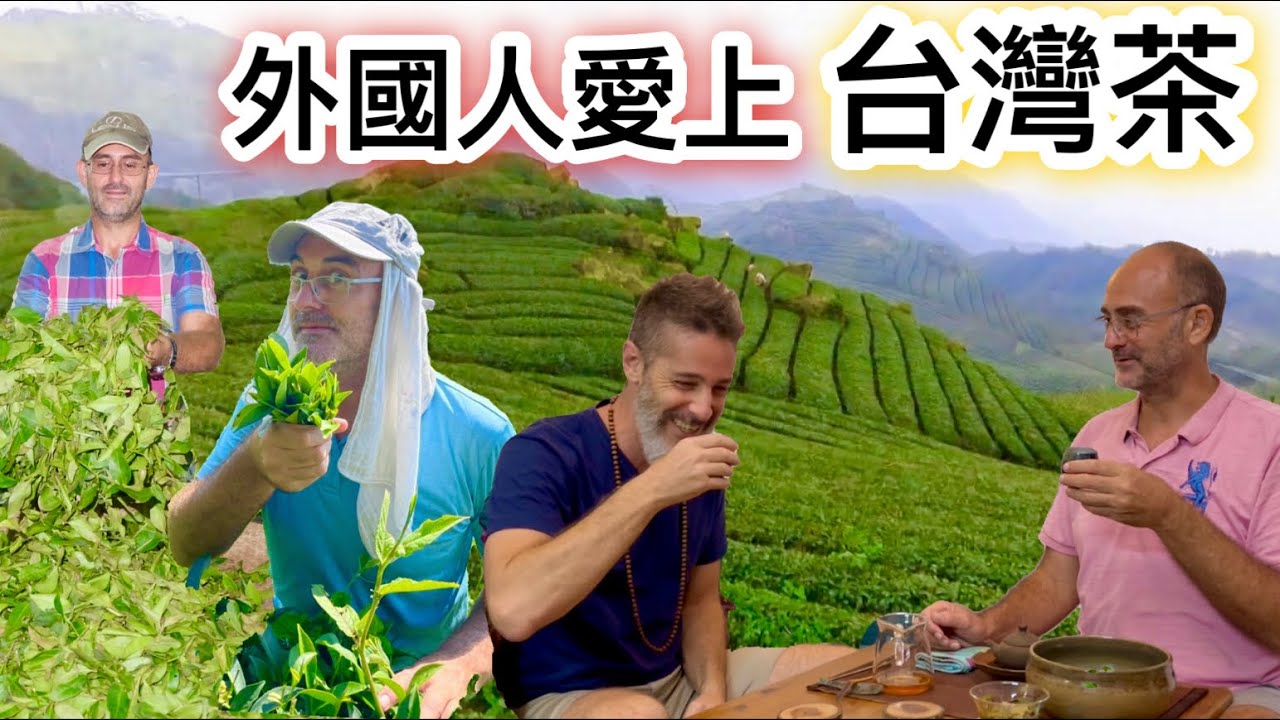 愛上台灣茶的外國人來台灣種茶推廣🇹🇼台灣茶 🍵 Foreigner Falls In Love With Taiwanese Tea￼🍵