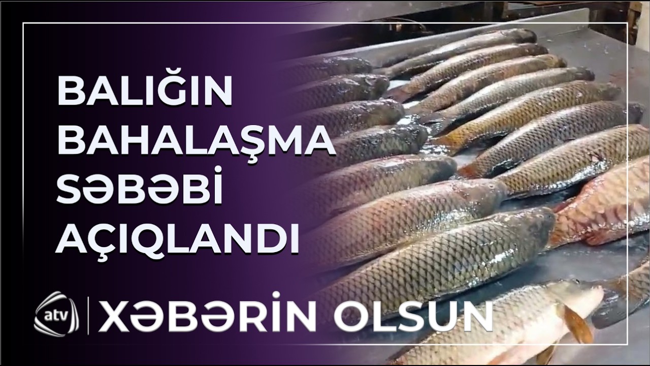 Azərbaycanda balığın qiyməti bahalaşdı - Qiymət artımı nə qədərdir? / Xəbərin olsun