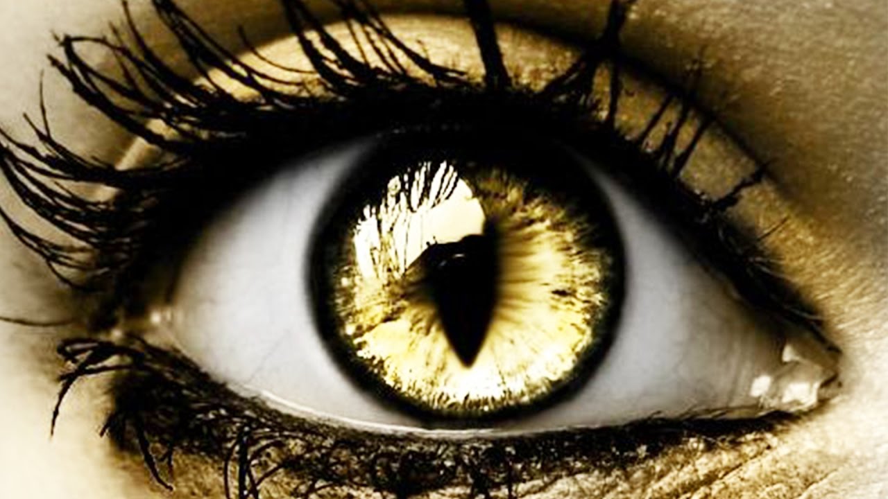 60프레임을 구분할 수 있을까? (고급편)