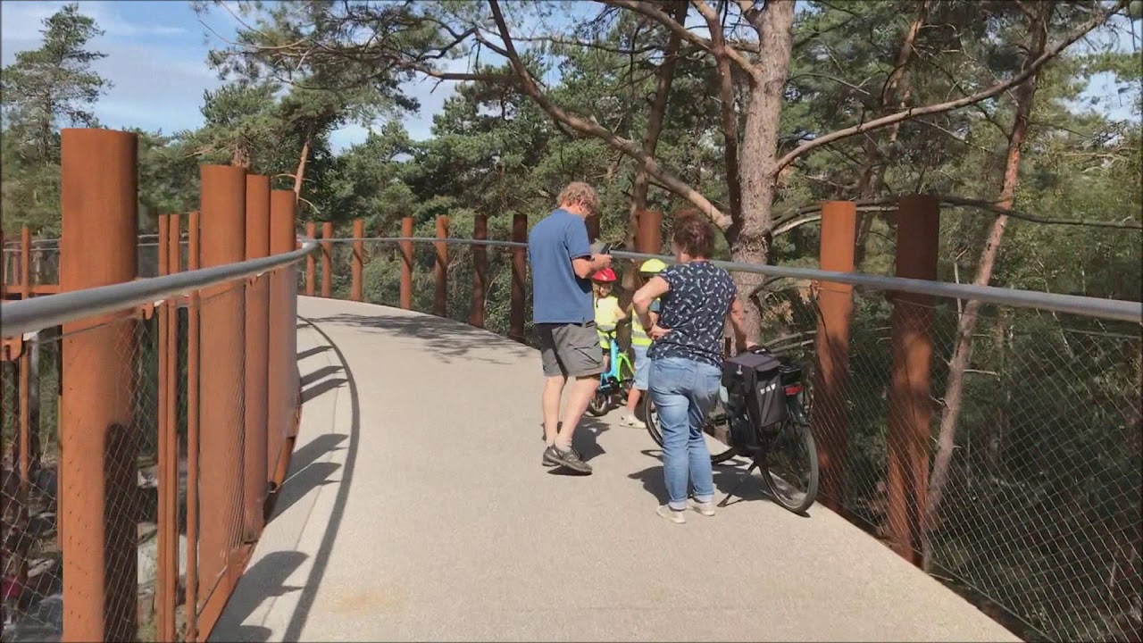 Fietsen door de bomen in Bosland te Hechtel Eksel op 10 juli 2019