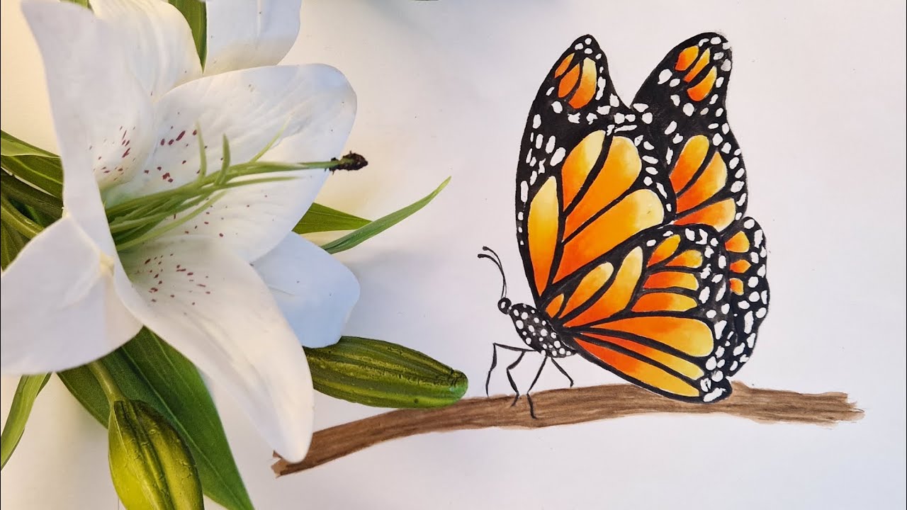 Monarch Butterfly painting demo. Quick and easy watercolour painting  using masking fluid