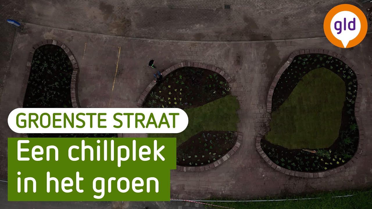 De Groenste Straat van Gelderland - Candea college Duiven