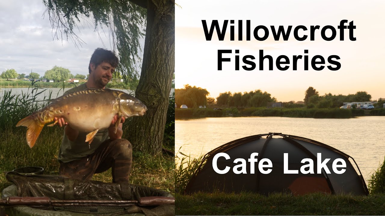 30+ Fish in a Session From Cafe Lake - Willowcroft Fisheries