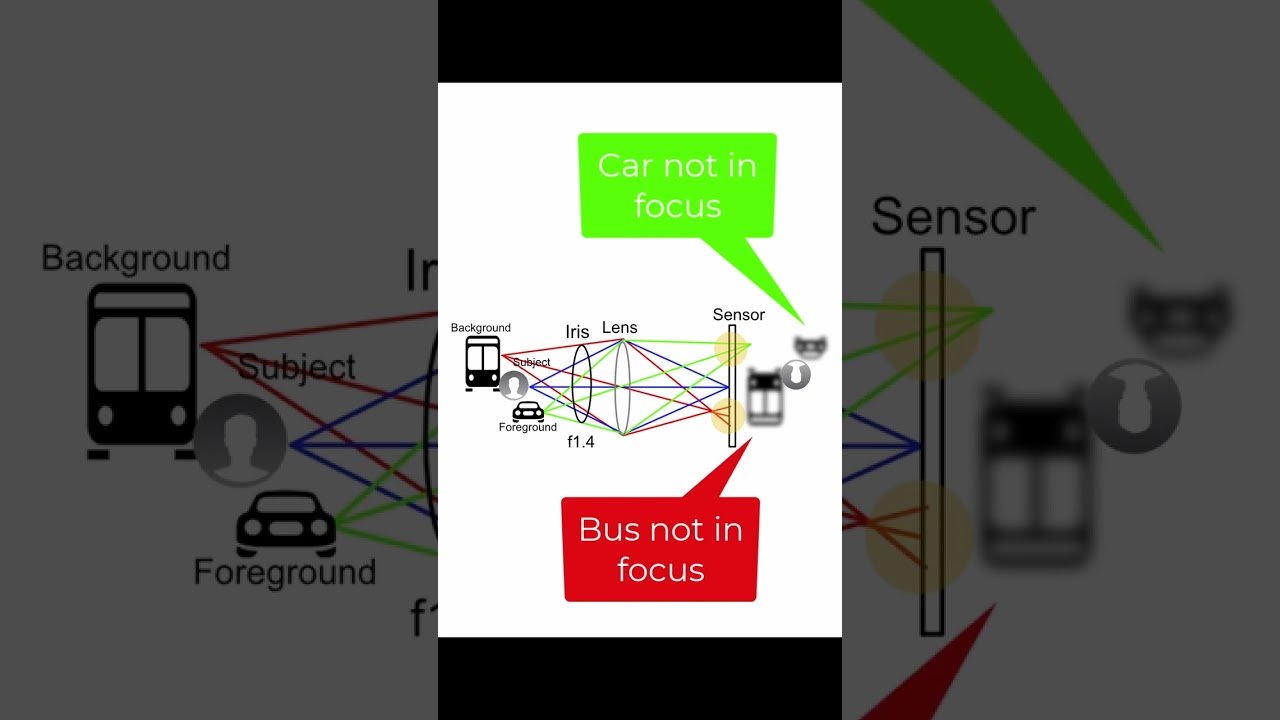 How Does Depth of Field Work