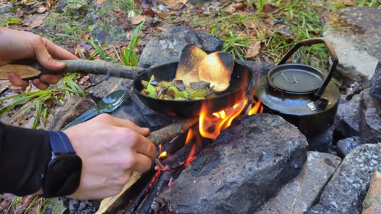 Winter Forest Harvesting frozen mushrooms🍄‍🟫 in December cooking on🔥with a dog🐕