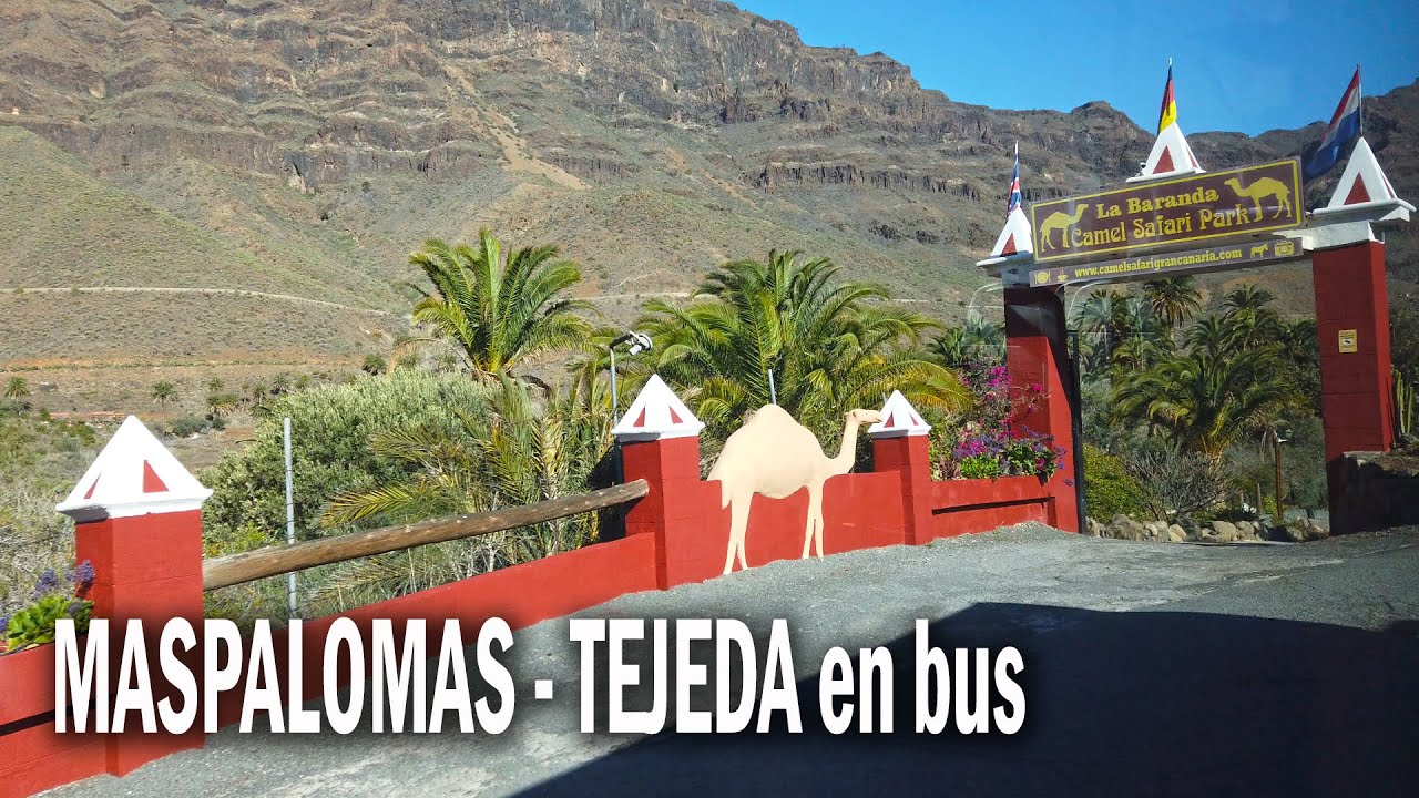 🇪🇸Conoce GRAN CANARIA con POCO DINERO💲 VIAJE EN GUAGUA DESDE MASPALOMAS a TEJEDA.