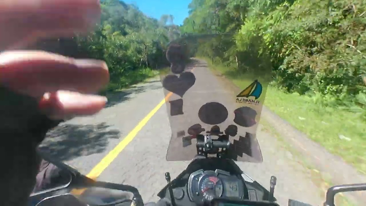 Serra da macaca aproveitando