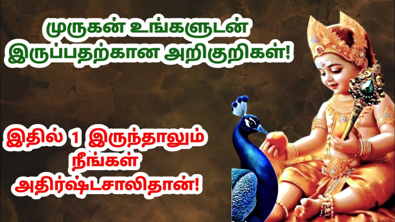 முருகன் உங்களுடன் இருப்பதற்கான அறிகுறிகள்! இதில் 1 இருந்தாலும் நீங்கள் அதிர்ஷ்டசாலிதான்!|murugan