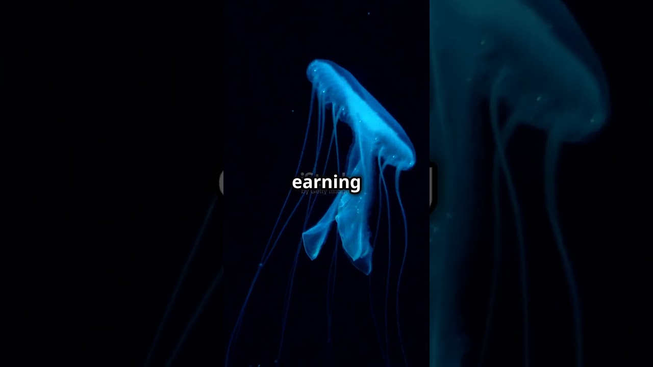 5 Mind Blowing Facts About Atolla Jellyfish!🪼 