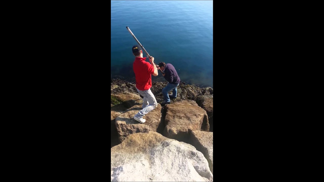 Congrio en  La Coruña