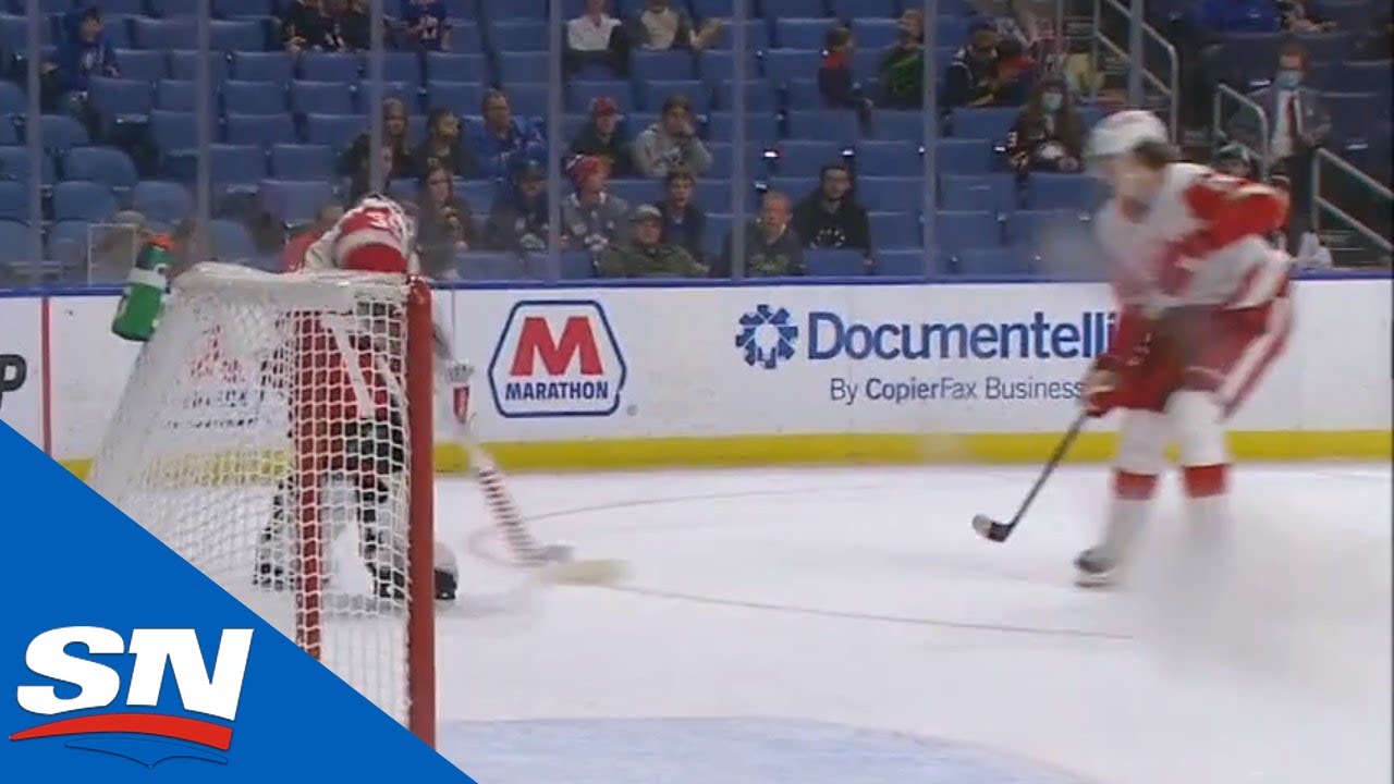 Nedeljkovic Mishandles Puck, Gifts Sabres A Goal