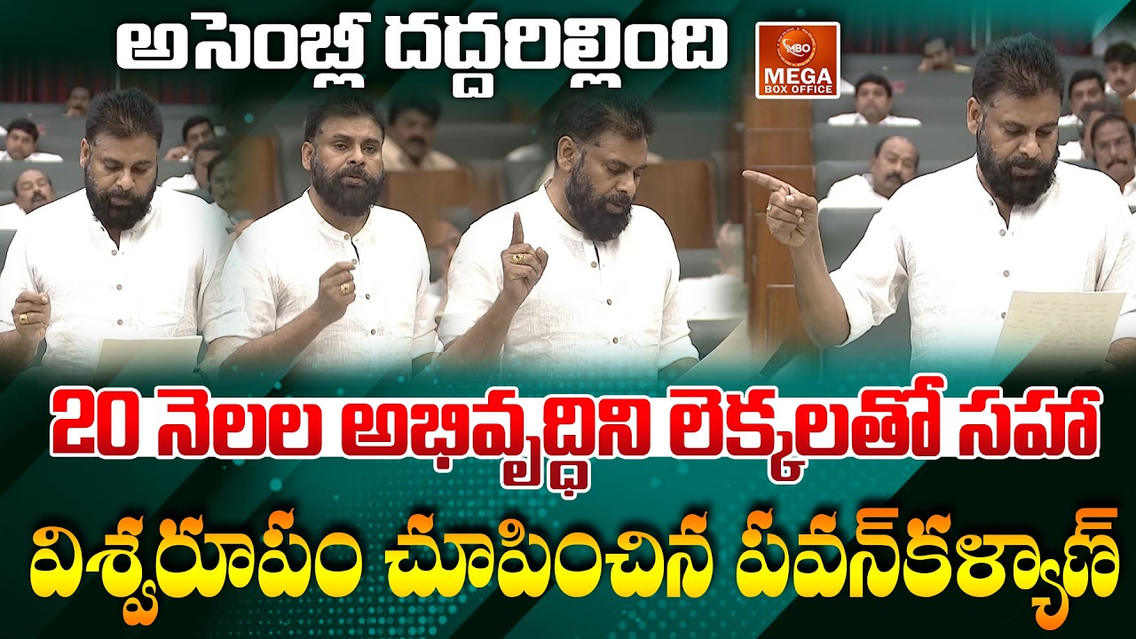 అసెంబ్లీలో లెక్కలతో సహా విశ్వరూపం చూపించిన పవన్ కళ్యాణ్ | 🔥 Pawan Kalyan Powerful Assembly Speech
