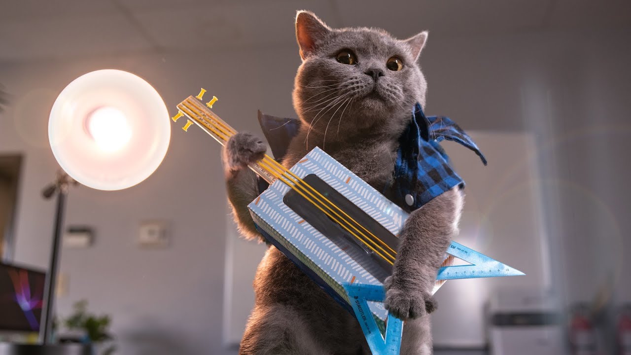 Офисные Коты