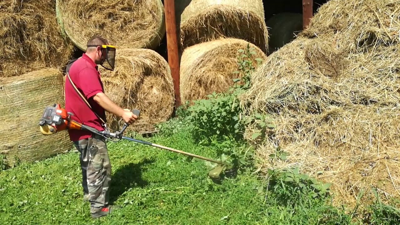 Oleo mac 440T vs Oleo Mac Sparta 25